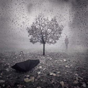 Пока ещё не поздно