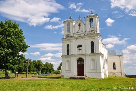 Виноградная лоза