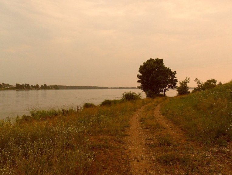 Дорога дней