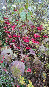 Давай никуда не пойдем