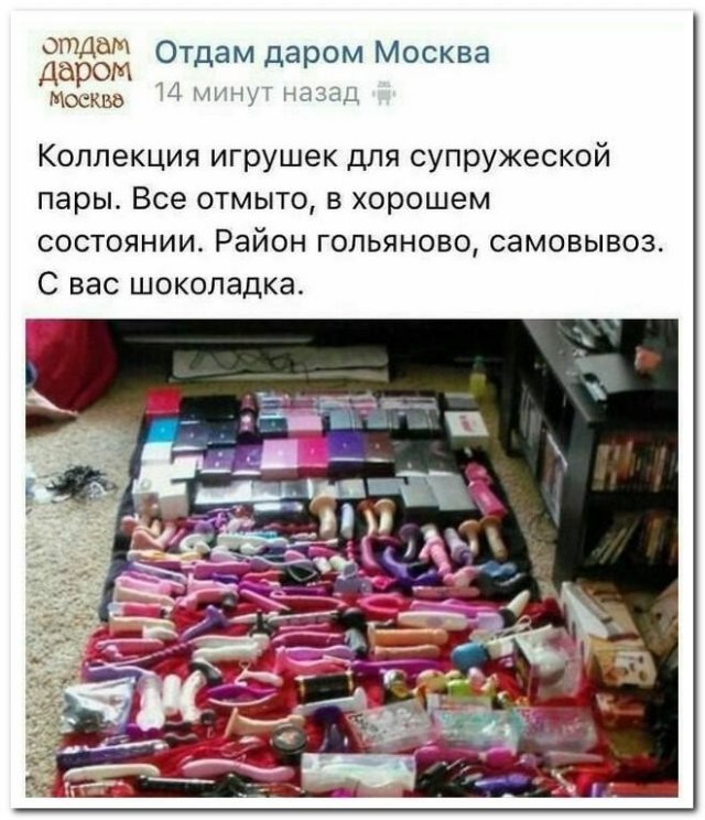 На злобу дня-15