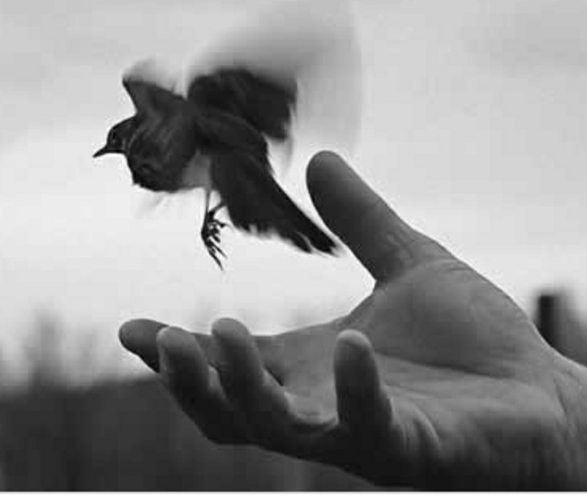 Ты дан мне Богом