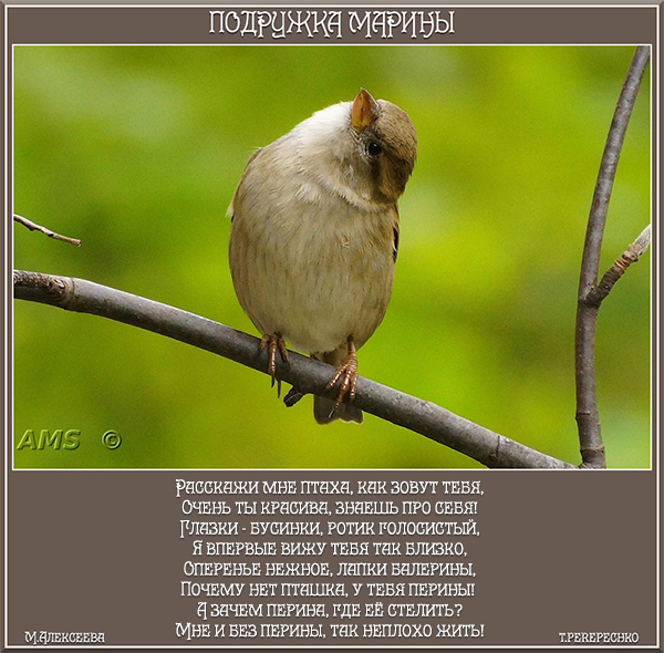 Подружка Марины