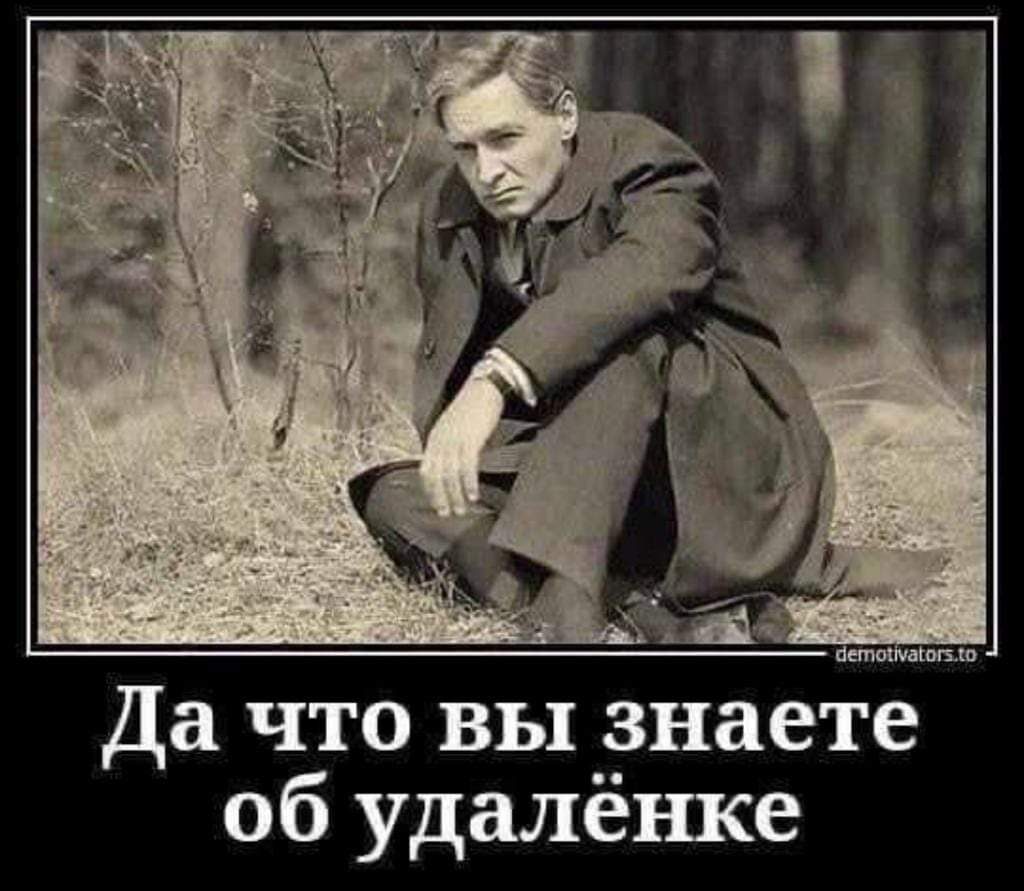 Штирлиц приколы