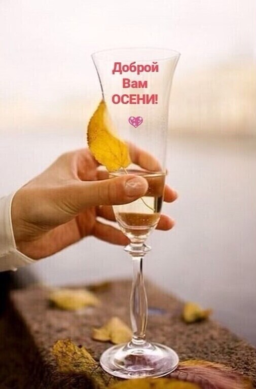 Мы проживаем осознанность единокровных