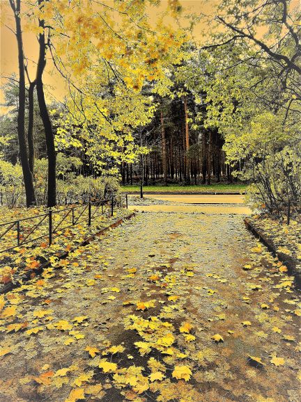 Уходит осень