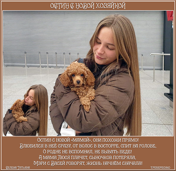 Остин с новой хозяйкой