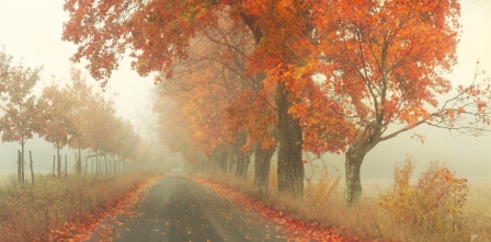 Я осенью дышу и безвременьем...