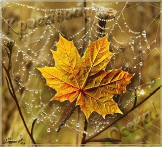 Осенний кружит листопад