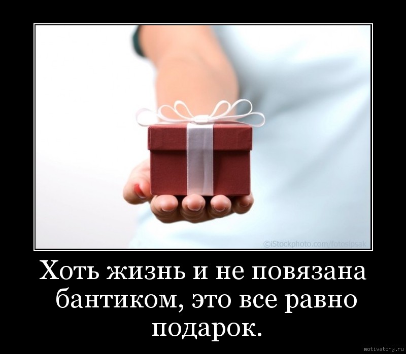 Единственный товар. Афоризмы про подарки. Цитаты про подарки. Высказывание про лучший подарок. Статусы про неожиданность.
