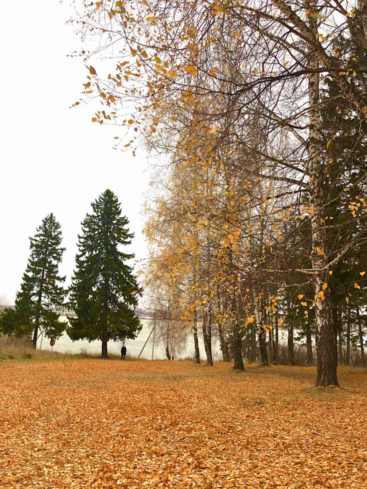 Жёлтый цвет