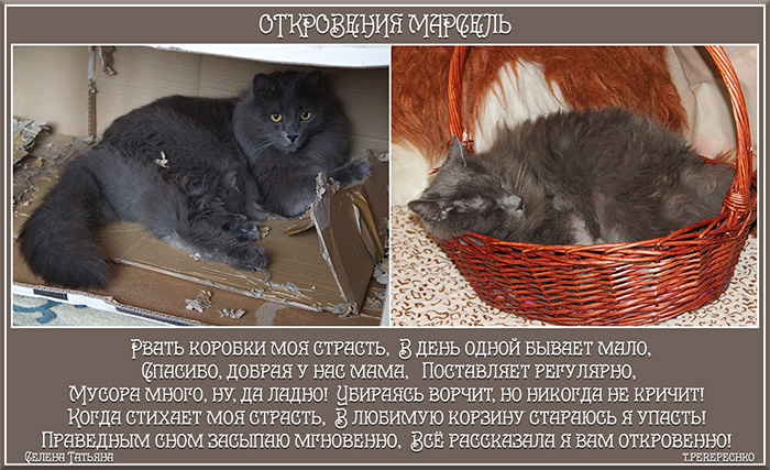 Откровения Марсель