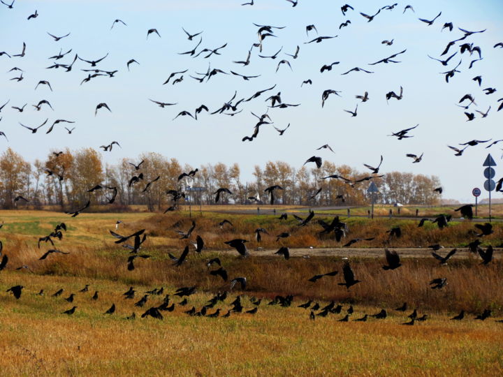 Поглядите - Листопад