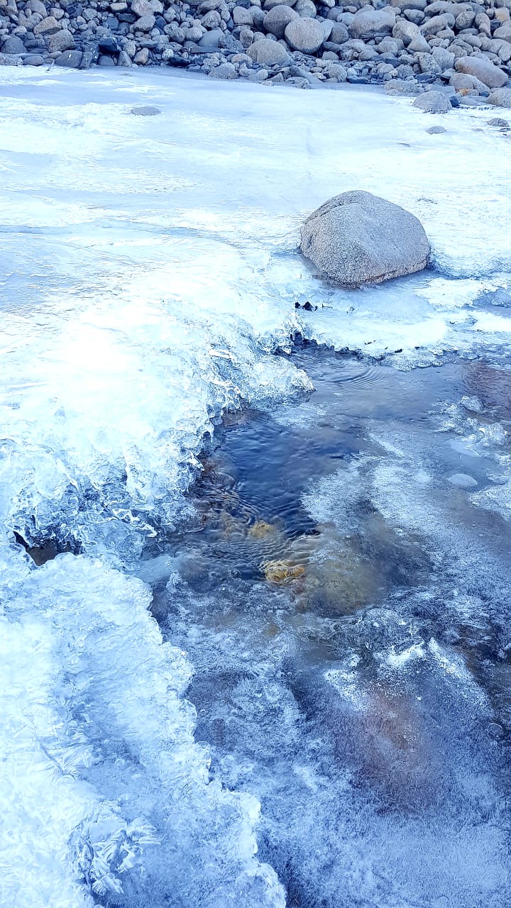 Журчат ручьи...