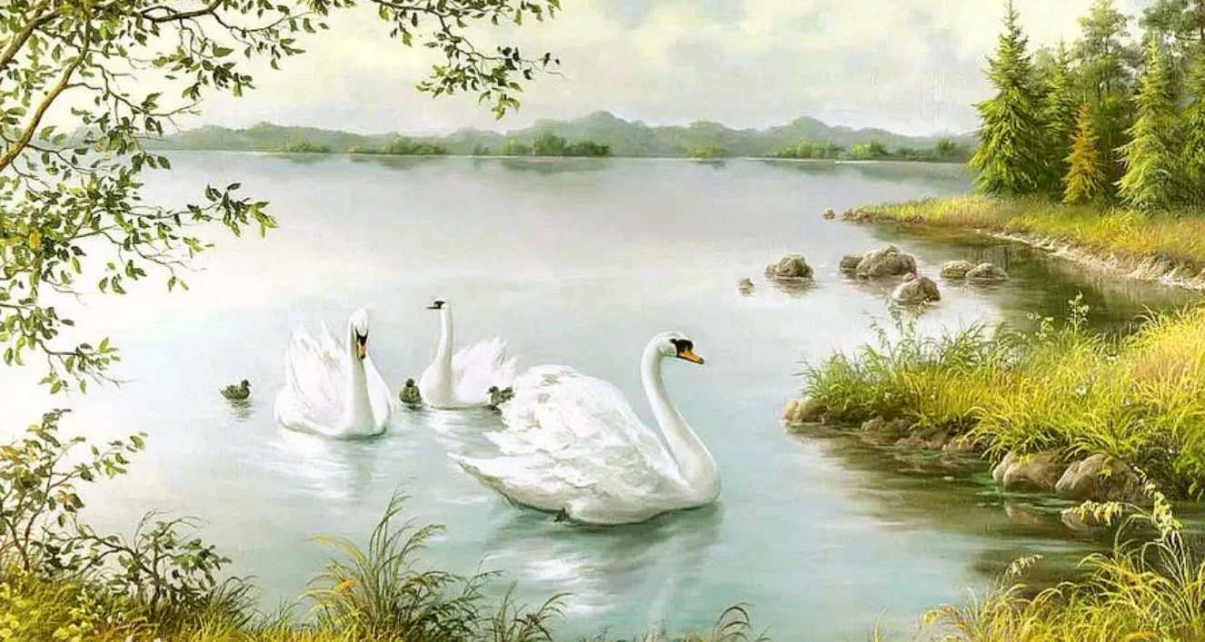 Передний картины. Пейзаж с лебедями. Пейзаж с лебедями живопись. Живопись лебеди на озере. Лебеди на пруду живопись.