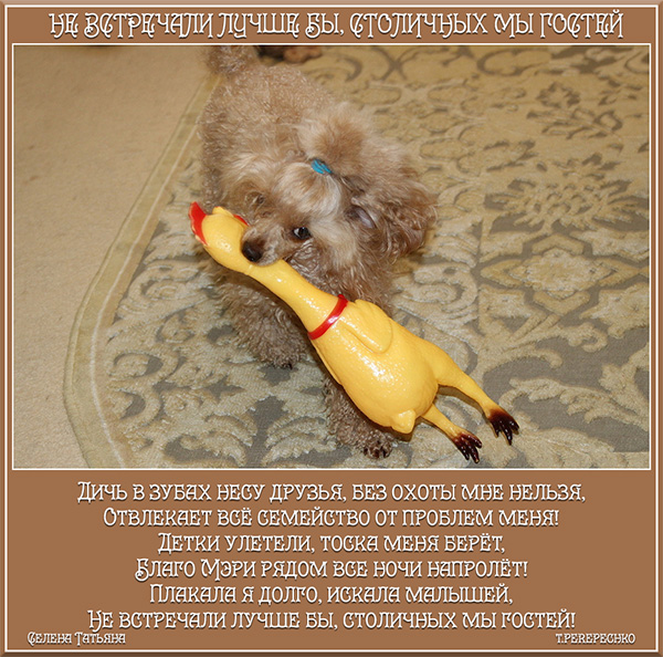 Не встречали лучше бы, столичных мы гостей