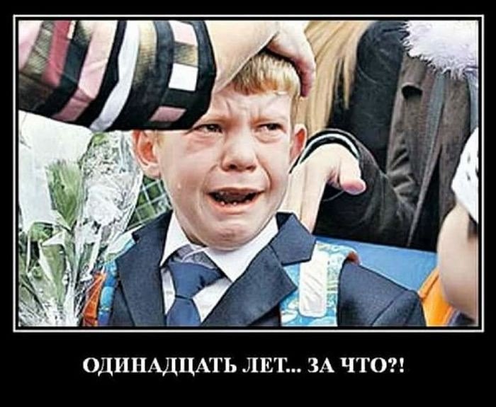 Стихи про школу