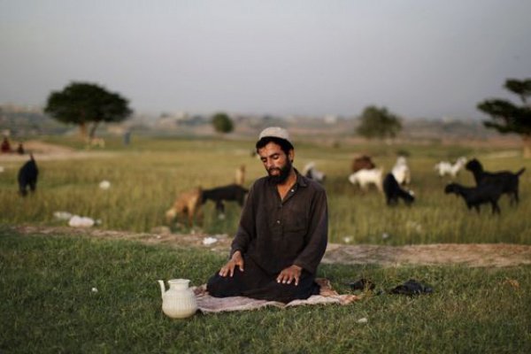 Разумный человек - 4