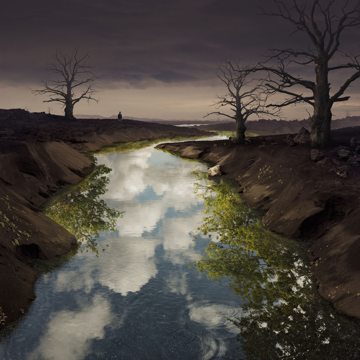 Движение вперед и к свету