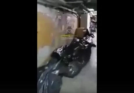 Словно мухи