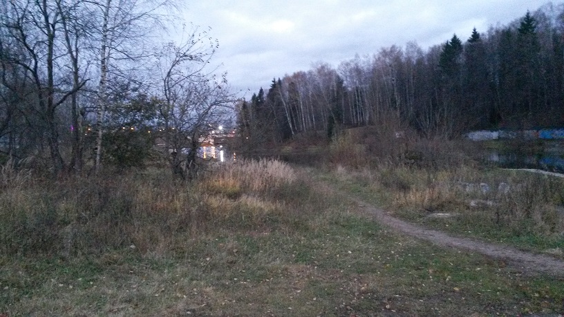 Глубокой осени печальная пора