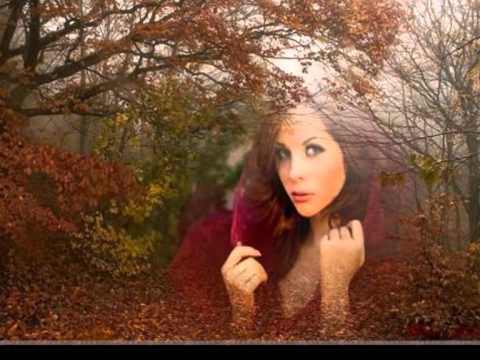 Твоя вина...