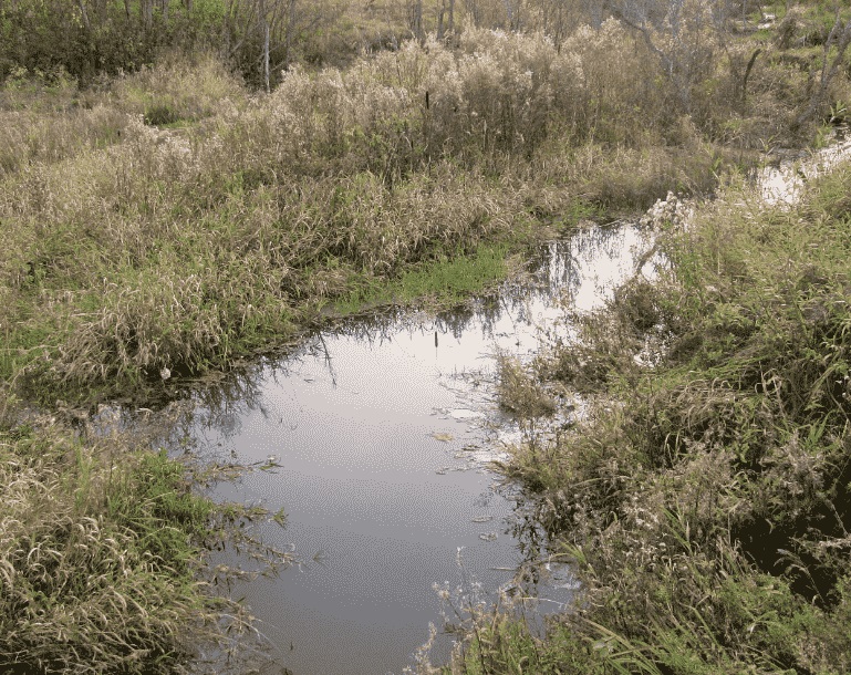 Каждый день для меня открытие