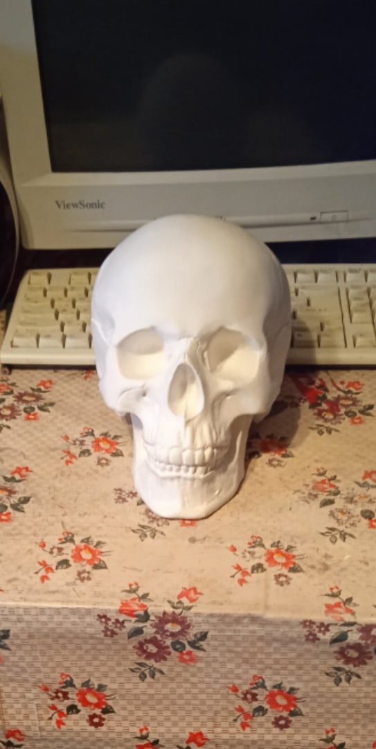 Скелет в шкафу