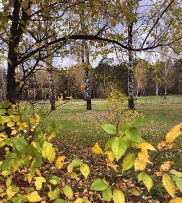 Прощание с осенью