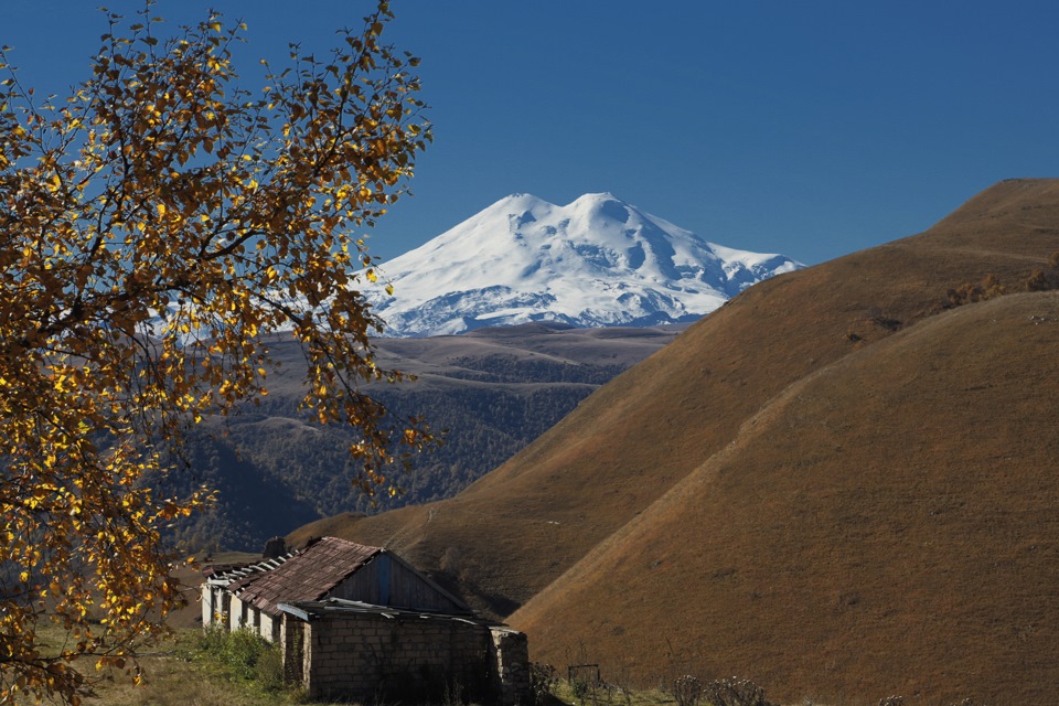 Озимые взошли