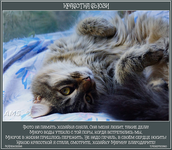 Красотка Сьюзи