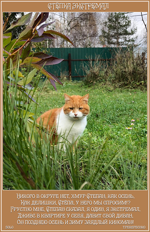 Стёпка экстремал