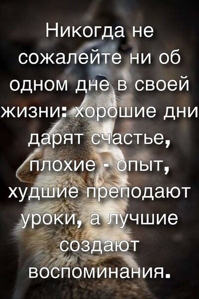 Повинуюсь жизнетокам...