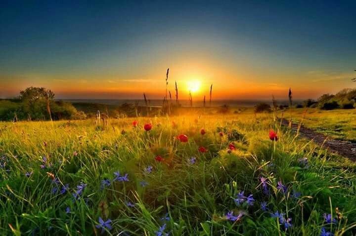 Когда день новый под лучом родится!