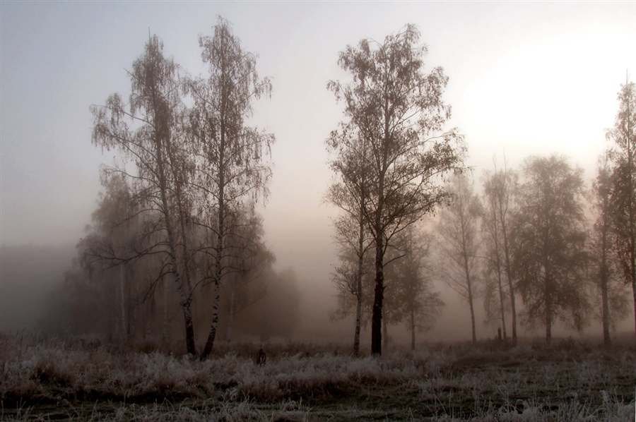 Второе дыхание