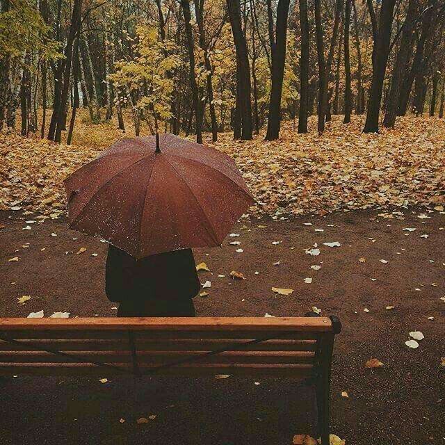 Ещё одна осень