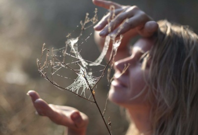 Стихов лихая паутинка