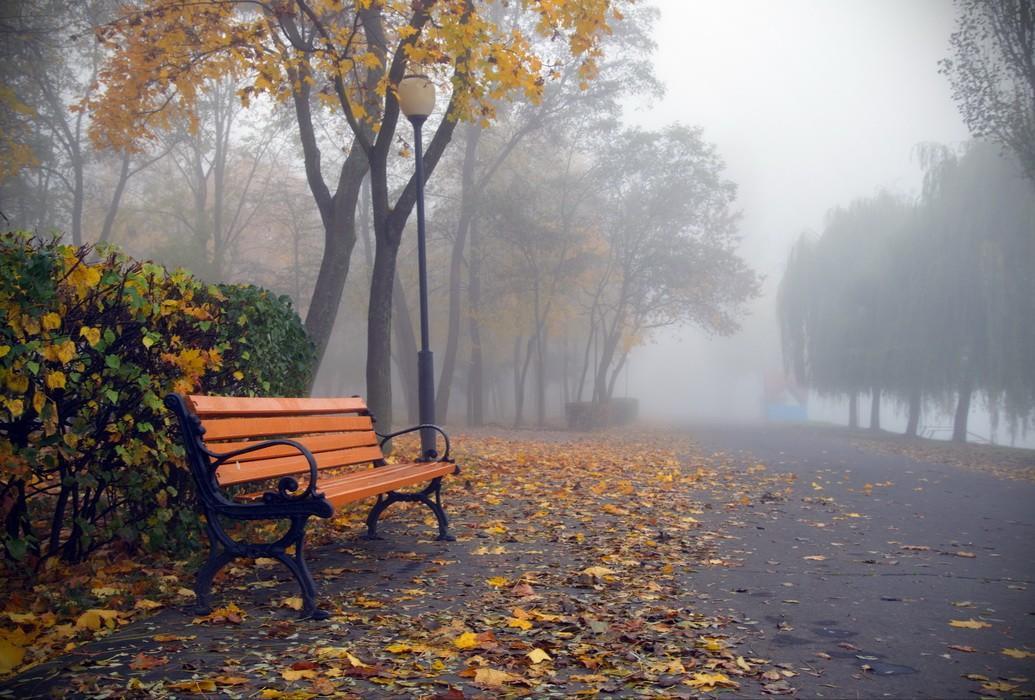 Ах, Осень, погоди