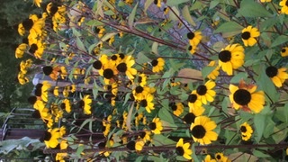 не ругайтесь