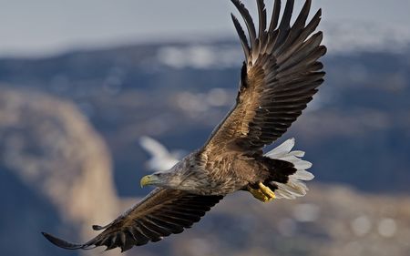 Голосование. Четвертая дуэль Осенних Игр