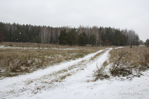 Ты слышишь?