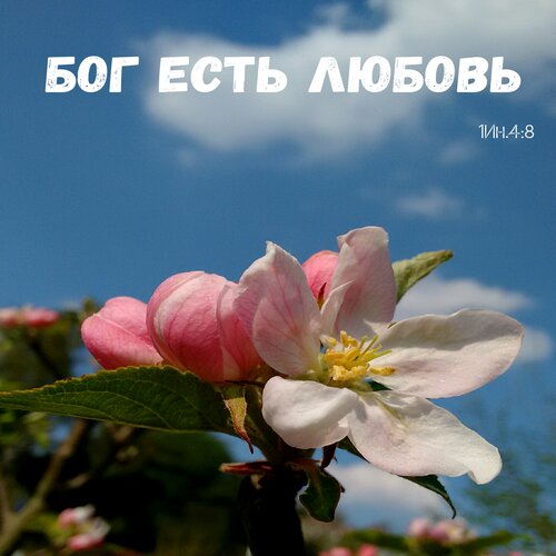 Я подойду поближе ко кресту