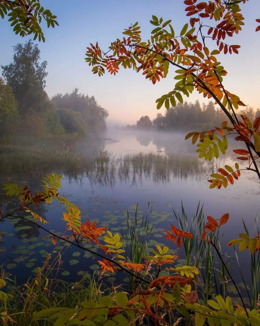 Открытки с добрым пейзажи. Доброе утро осень природа. Осеннее утро пейзаж. Сентябрьский пейзаж. Прекрасного утра осени.