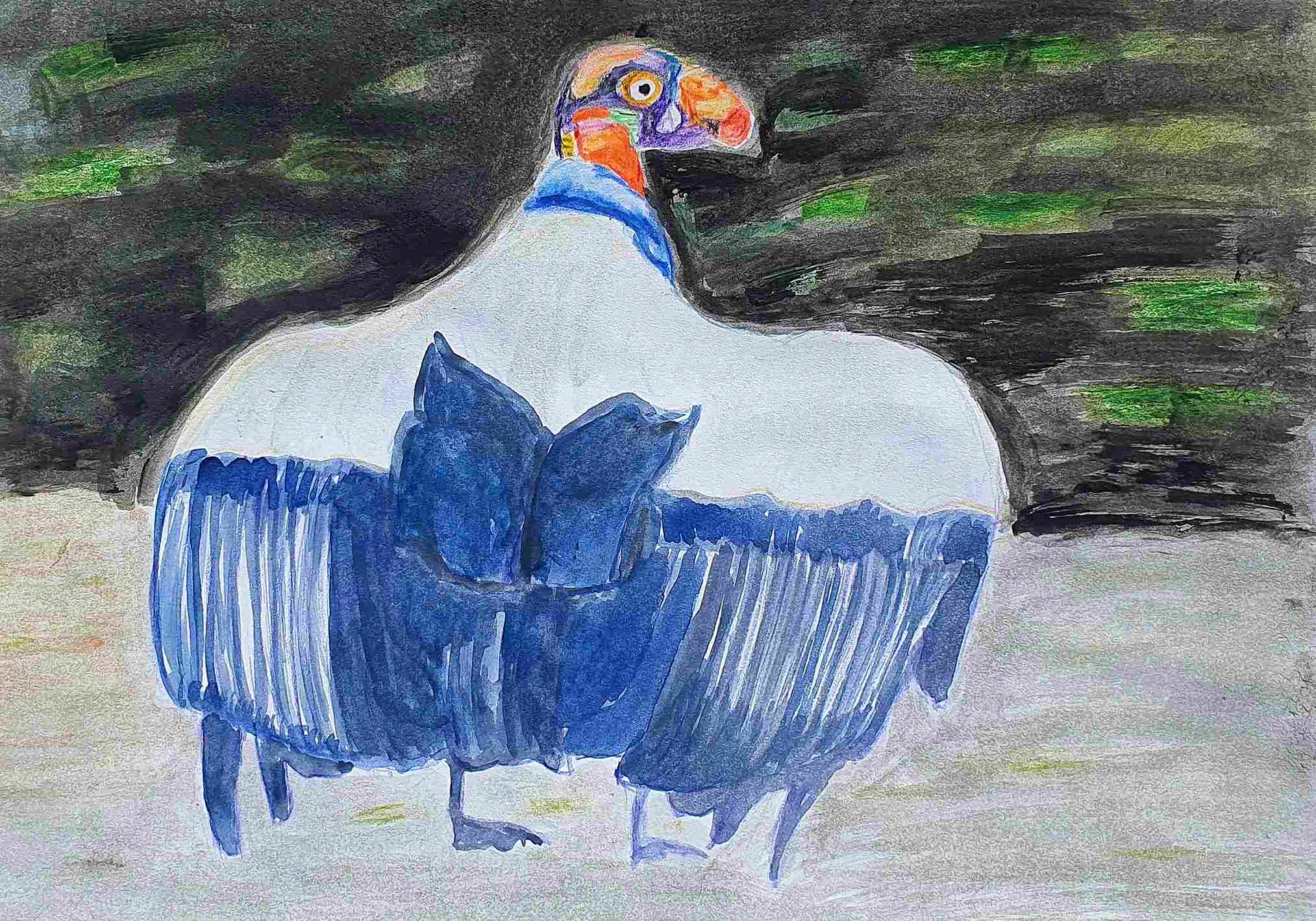 Гриф королевский, из красавцев