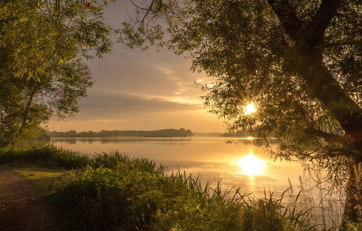 Заря горела (Лия Константиновна Телегина) / Стихи.ру