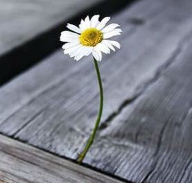 В добро нужно верить