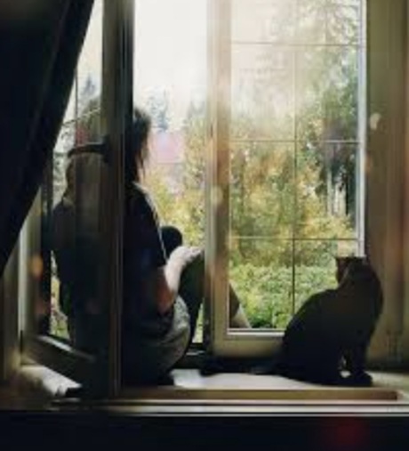 Оттенки осени