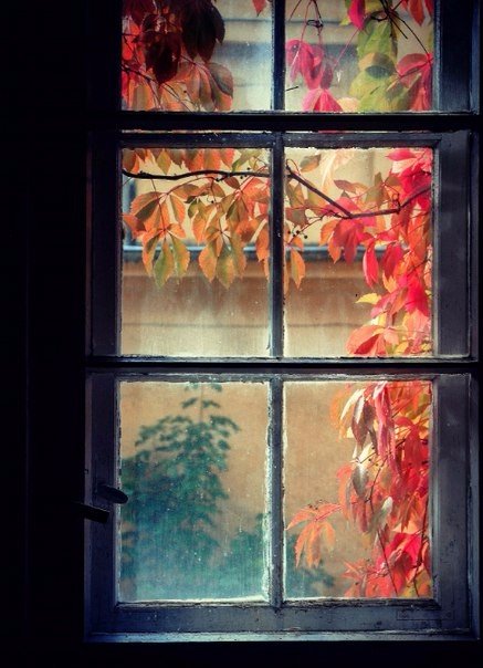 Через закрытое окно