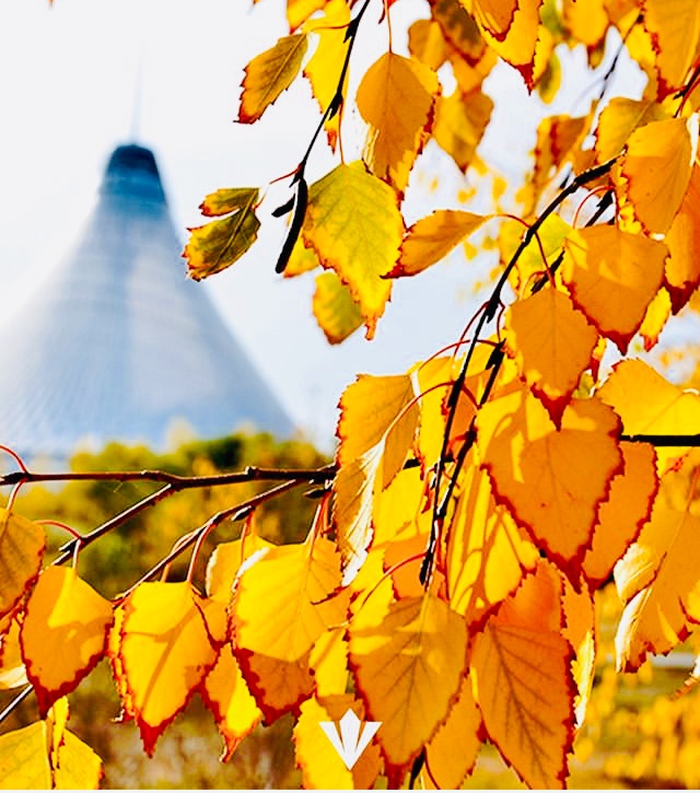 Осень золотая