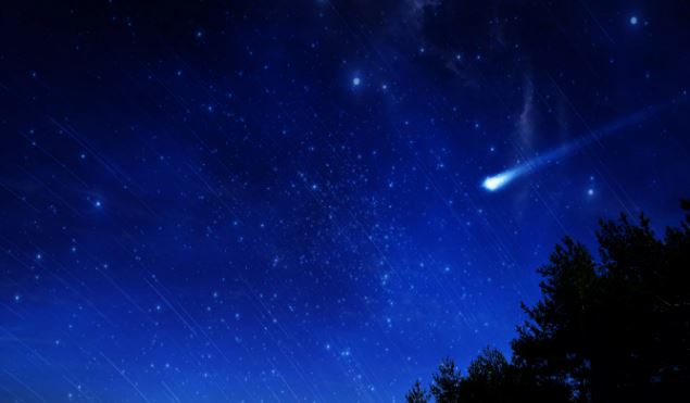 Такие разные